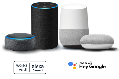 Amazon Alexa and Google Home voice assistants