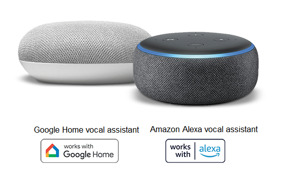 Amazon Alexa and Google Home voice assistants