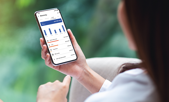 Optimised energy management