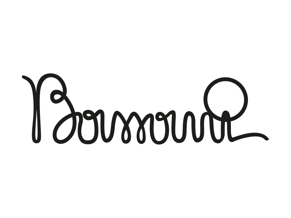 First logo with the name Bassani handwritten in a continuous, cursive black line.