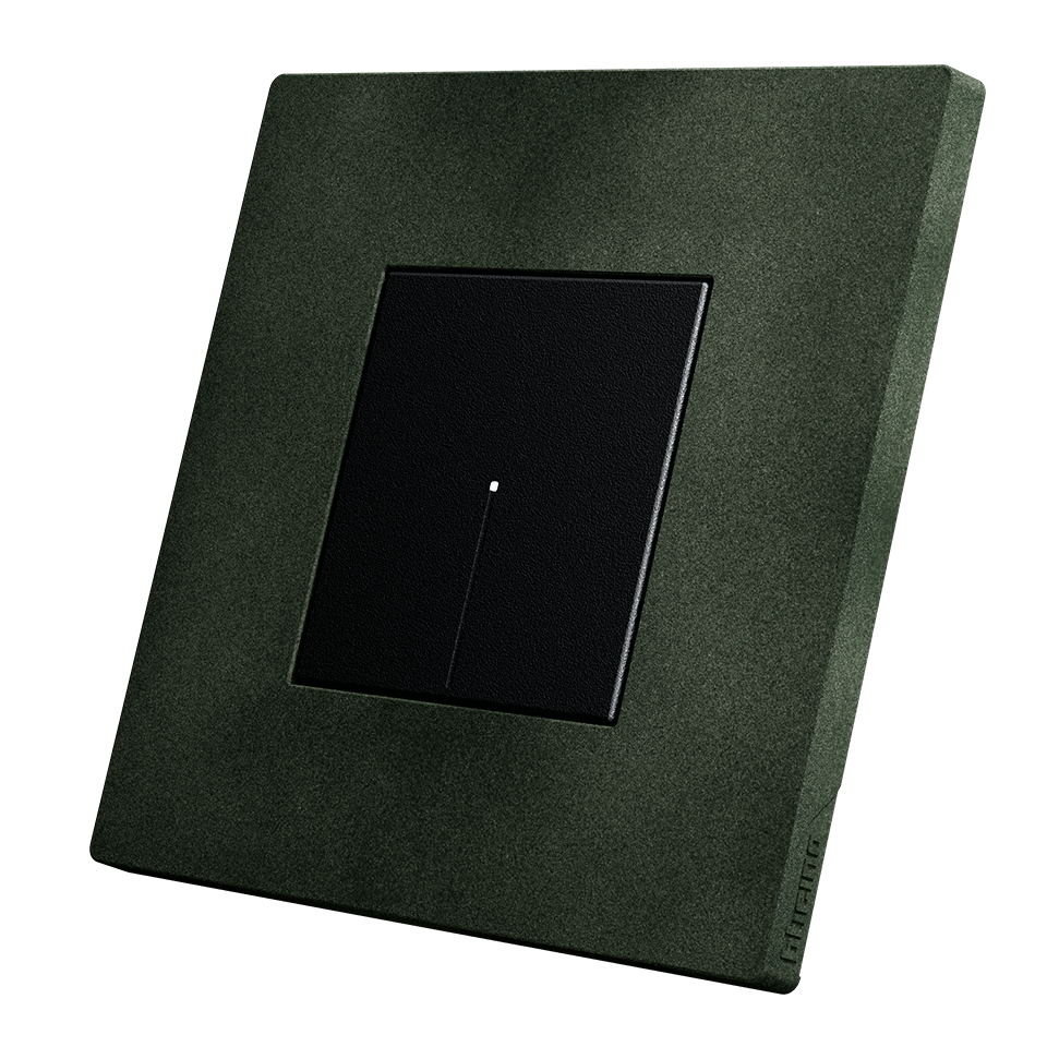 A 2-module BTicino Light Now wall switch, with dark green cover plate, and black switches.