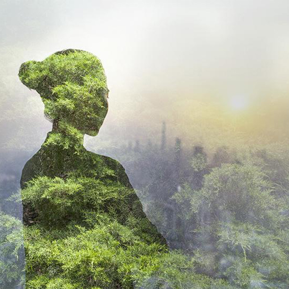 Silhouette of a woman filled with green foliage, blending into a misty outdoor landscape with sunlight in the background.